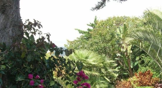 Quinta das Vistas Palace Gardens (турфирма You Travel, Витебск)1