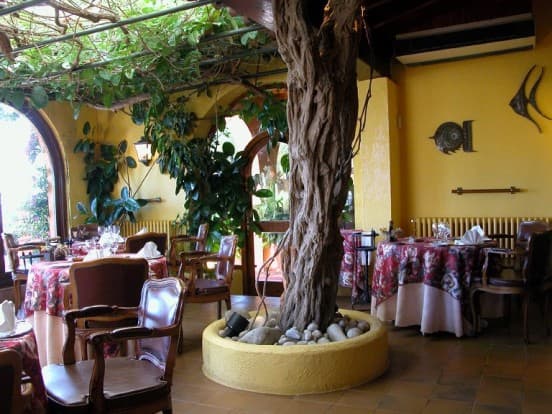 «Rigat Park Resort & SPA» Отель Rigat Park Resort & SPA 5 (Испания), турфирма You Travel (Витебск)