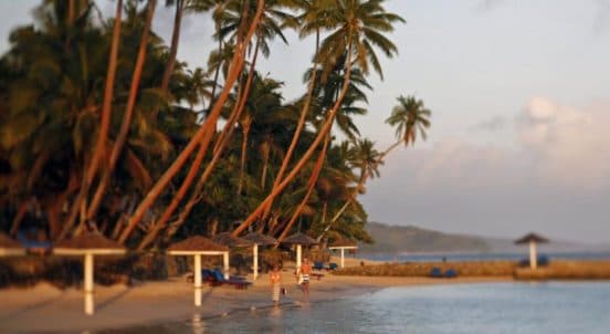 The Warvik Fiji The Warvik Fiji (турфирма You Travel, Витебск)4