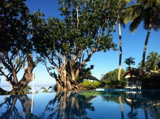 Maui Palms