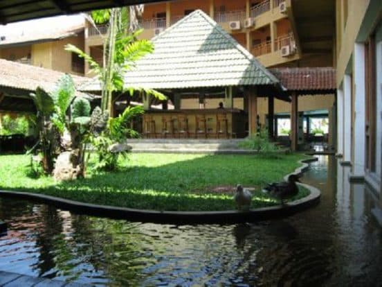 The Palms