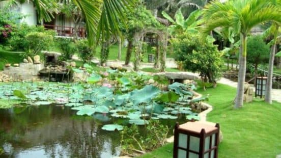 The Pegasus Resort