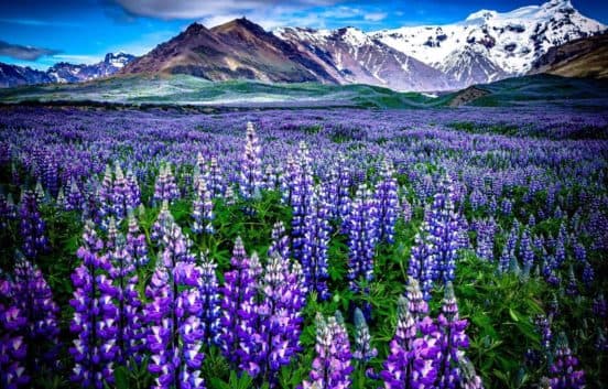 Туры в Исландию. Лето 2019 You Travel Витебск
